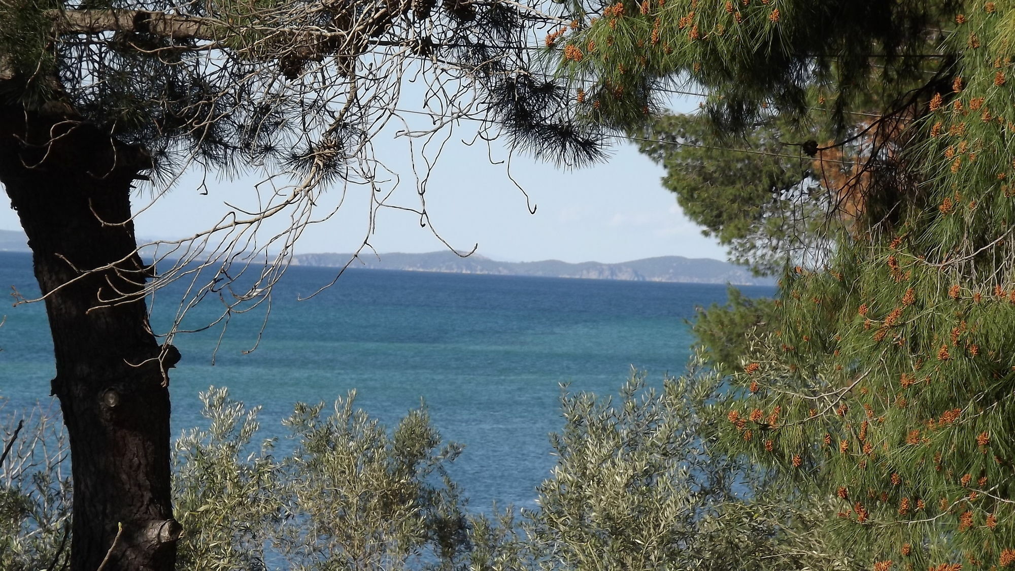 Pefka Studios & Apartments Βουρβουρού Εξωτερικό φωτογραφία